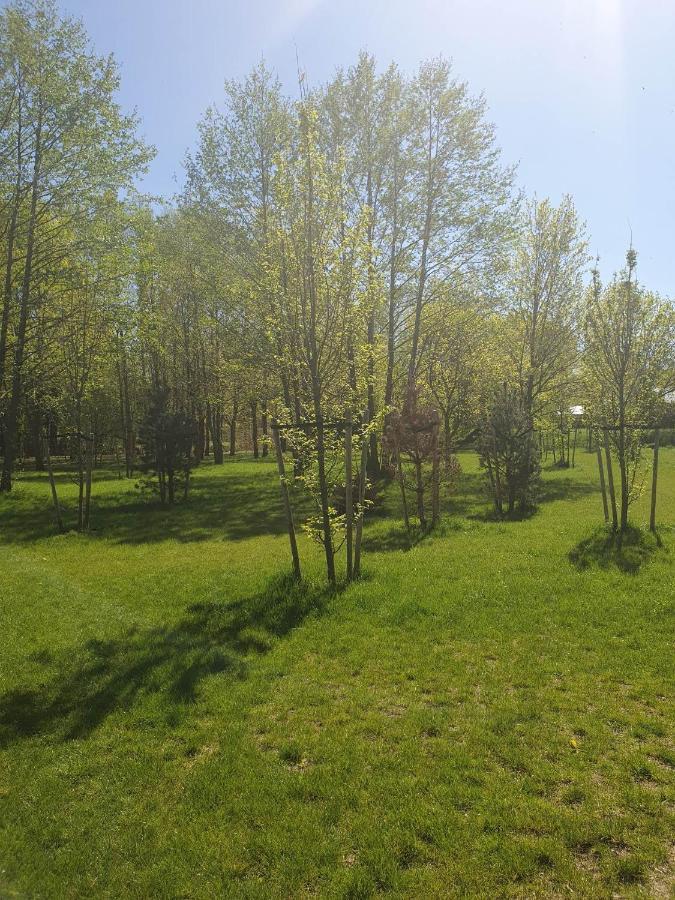 Apartament 3 Pokojowy Lub Pokoj W Mieszkaniu W Nowym Bloku Varsovie Extérieur photo